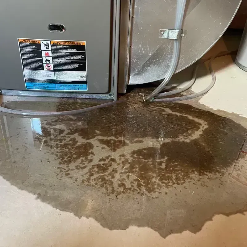 Appliance Leak Cleanup in Iva, SC